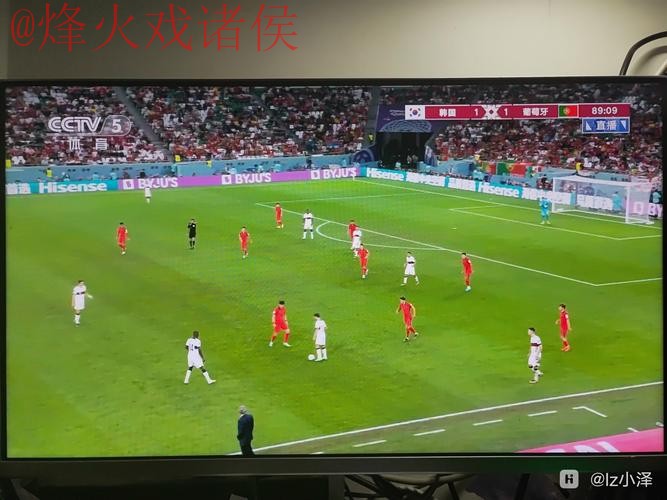 世界杯实时直播全程观看